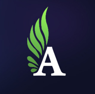Alagram.ru - мощный SMM сервис для продвижения в Instagram — логотип